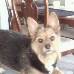 Meet your Posher, Trudy